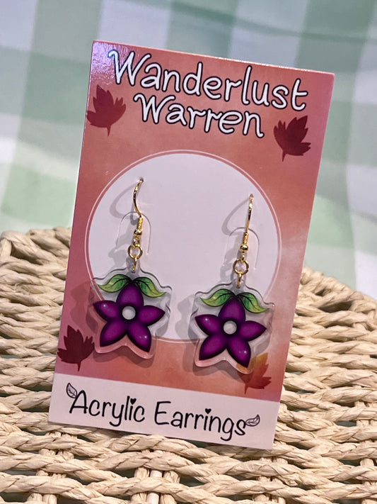 Stardrop Hook Earrings